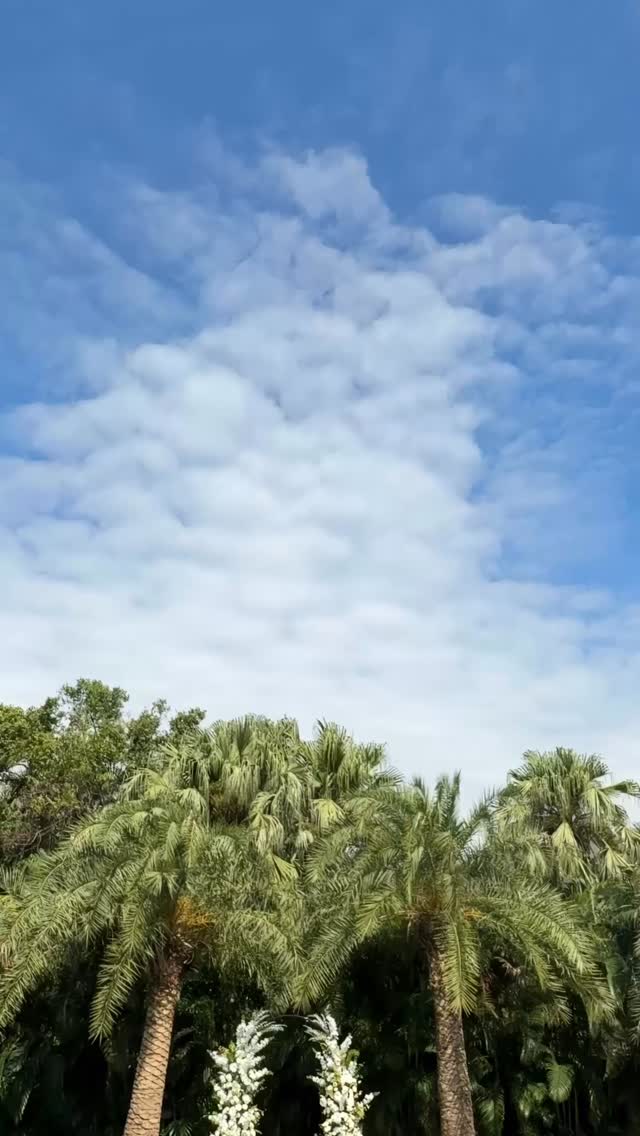 香港最新戶外升級場地，實現您的峇里風浪漫草地婚禮。 在20,000呎的翠綠真草地上，與摯愛在星空天幕下許下誓言。Green House 2025年全新升級，為您打造峇里夢幻婚宴。 Greenhouse