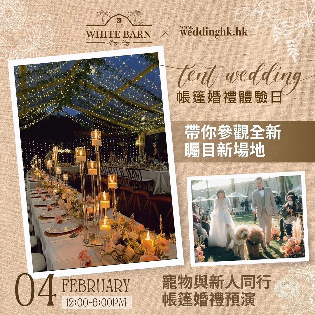 @weddinghk.hk - 2月4日The White Barn帳篷婚禮體驗日 寵物同行的婚禮預演👰🏻🤵🏻 希望實現夢寐以求帳篷婚禮的新人們，就要留意2月4日由 @thewhitebarnhk 與
