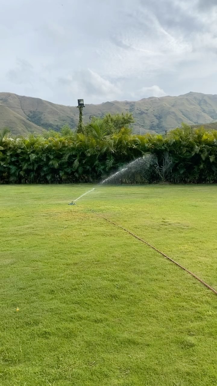 晨光就開始灑水啦，草地你要靚唔靚呀