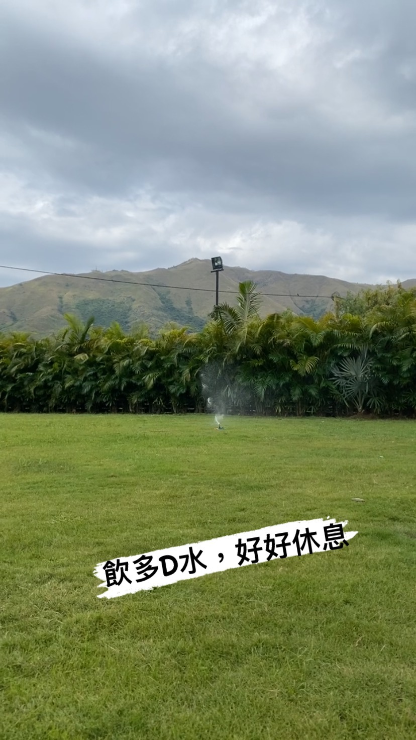 Instagram video